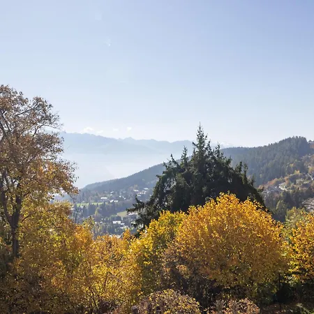 Armorial Ouest 51 By Interhome Crans-Montana